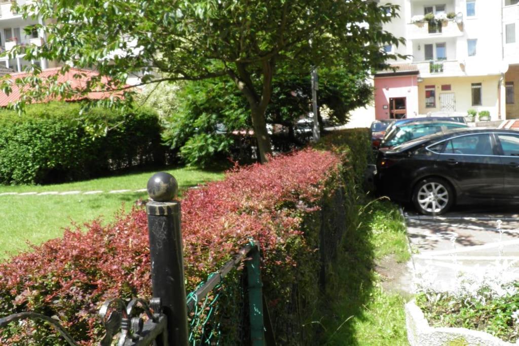 קולובז'ג Apartament U Filipa מראה חיצוני תמונה